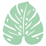 Monstera Trivet - Cedar Nursery - Plants and Outdoor Living