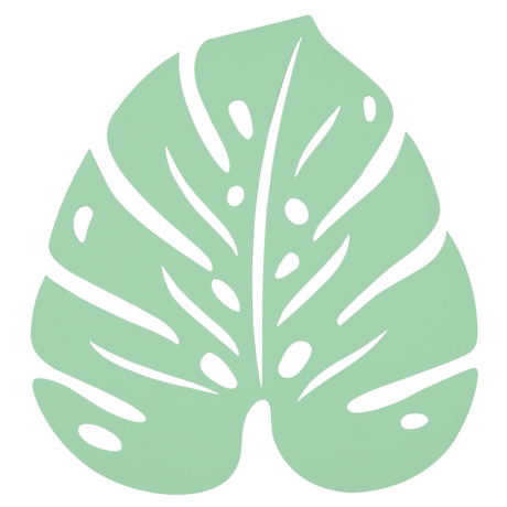 Monstera Trivet - Cedar Nursery - Plants and Outdoor Living
