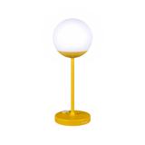 Mooon! Lamp - Cedar Nursery - Plants and Outdoor Living