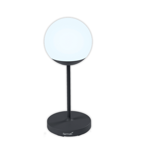 Mooon! Lamp - Cedar Nursery - Plants and Outdoor Living