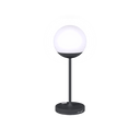 Mooon! Lamp - Cedar Nursery - Plants and Outdoor Living