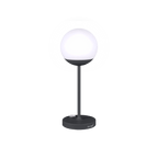 Mooon! Lamp - Cedar Nursery - Plants and Outdoor Living