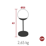 Mooon! Lamp - Cedar Nursery - Plants and Outdoor Living