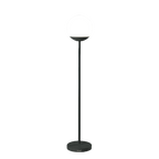 Mooon! Lamp - Cedar Nursery - Plants and Outdoor Living