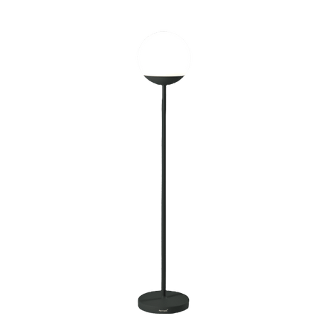 Mooon! Lamp - Cedar Nursery - Plants and Outdoor Living