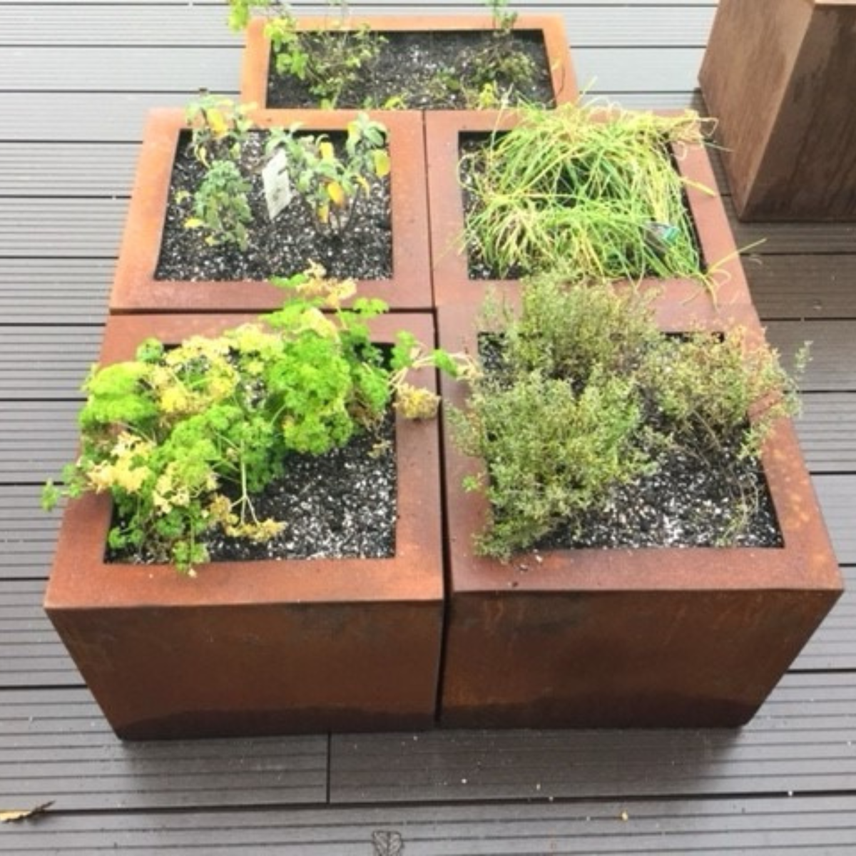 Rust effect square planters