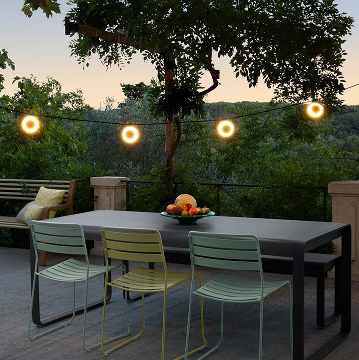 Surprising Dining Chair - Cedar Nursery - Plants and Outdoor Living