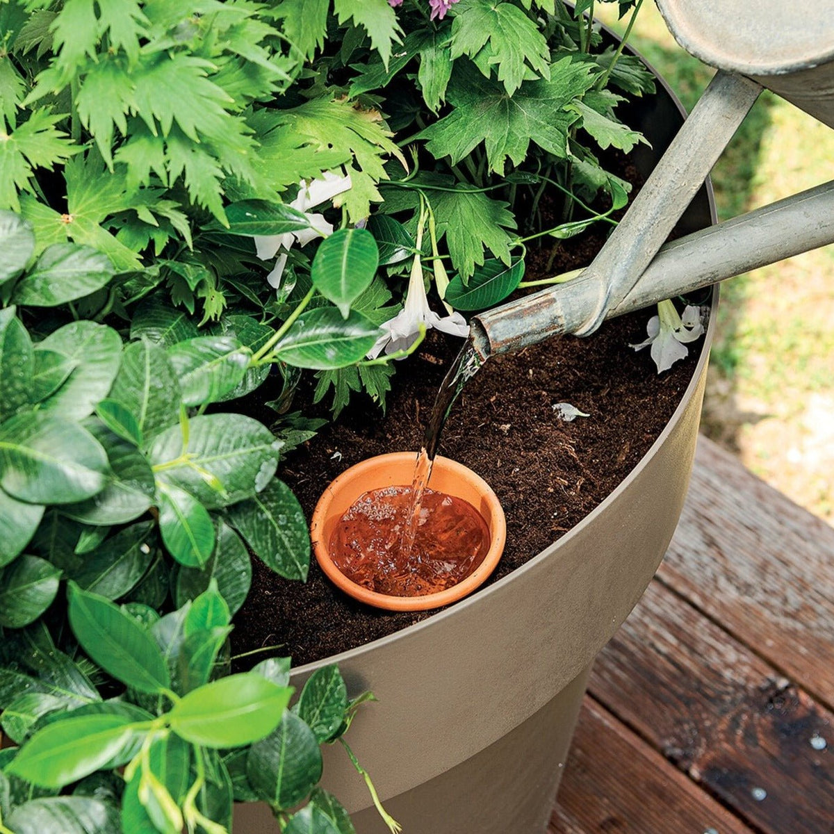 Terracotta Aquado Irrigation System - Cedar Nursery - Plants and Outdoor Living