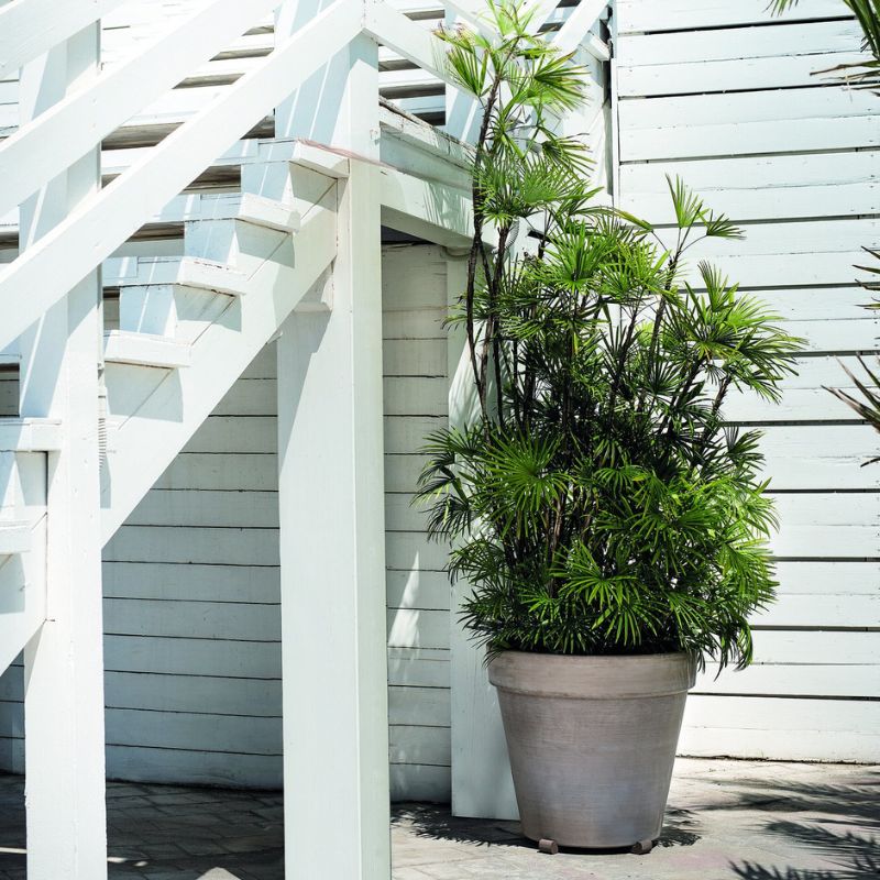 Terracotta Magno Planter - Cedar Nursery - Plants and Outdoor Living