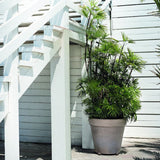 Terracotta Magno Planter - Cedar Nursery - Plants and Outdoor Living