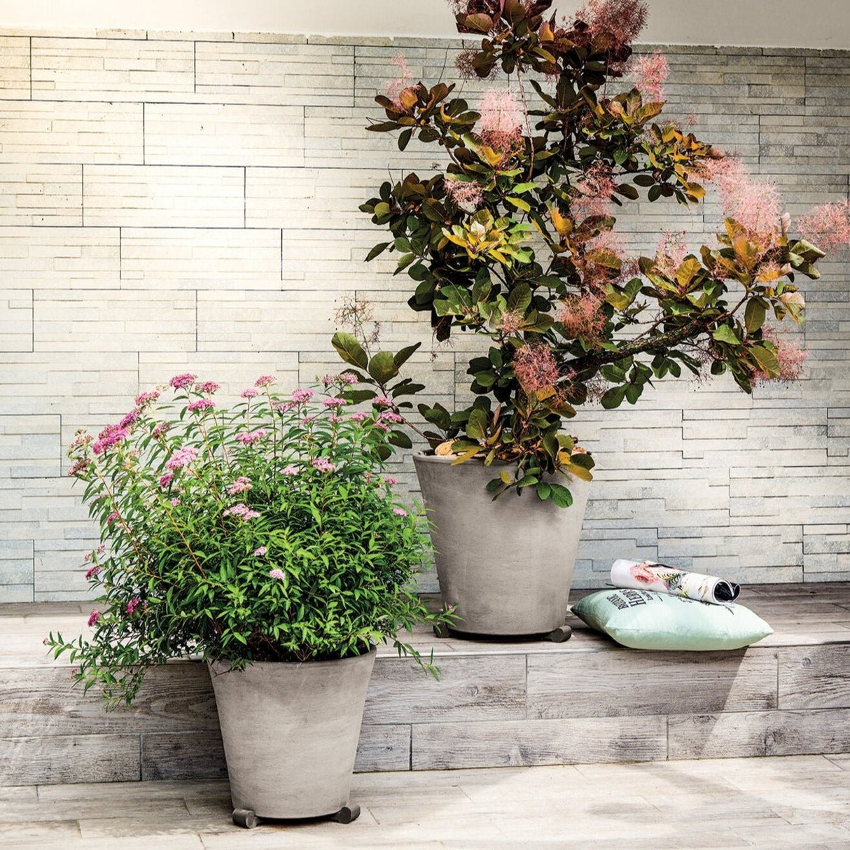 Terracotta Primitivo Conico Planter - Cedar Nursery - Plants and Outdoor Living