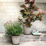 Terracotta Primitivo Conico Planter - Cedar Nursery - Plants and Outdoor Living