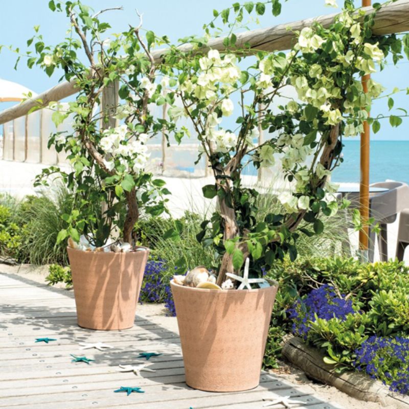 Terracotta Primitivo Conico Planter - Cedar Nursery - Plants and Outdoor Living