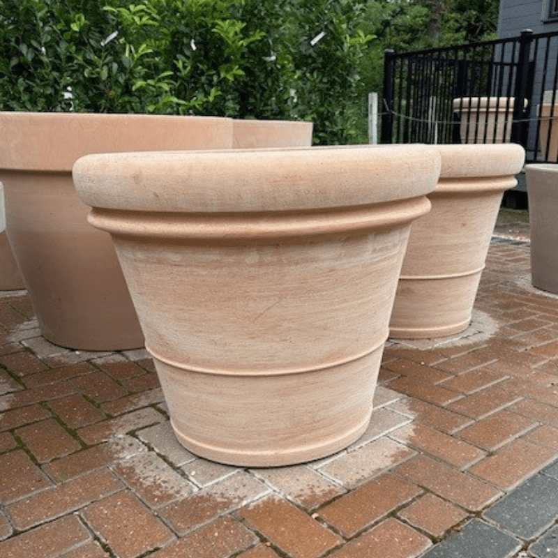 Terracotta Tuscany Double Rim XXL Planter - Cedar Nursery - Plants and Outdoor Living