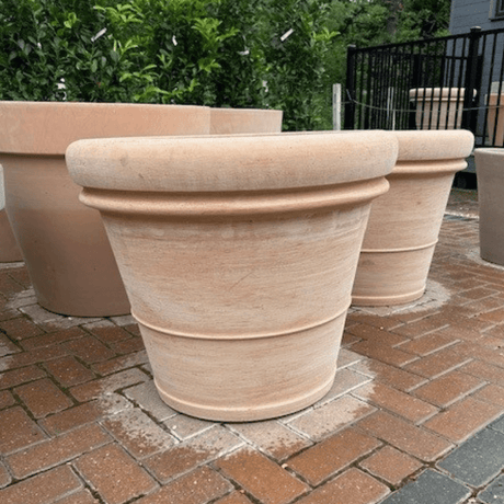 Terracotta Tuscany Double Rim XXL Planter - Cedar Nursery - Plants and Outdoor Living