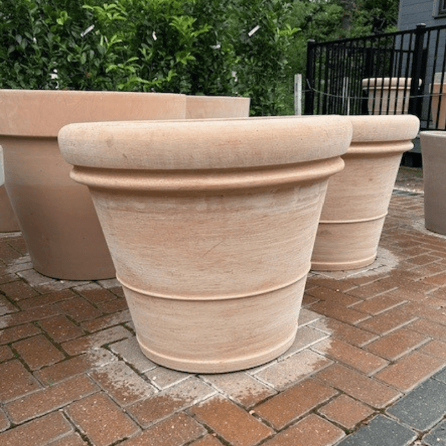 Terracotta Tuscany Double Rim XXL Planter - Cedar Nursery - Plants and Outdoor Living