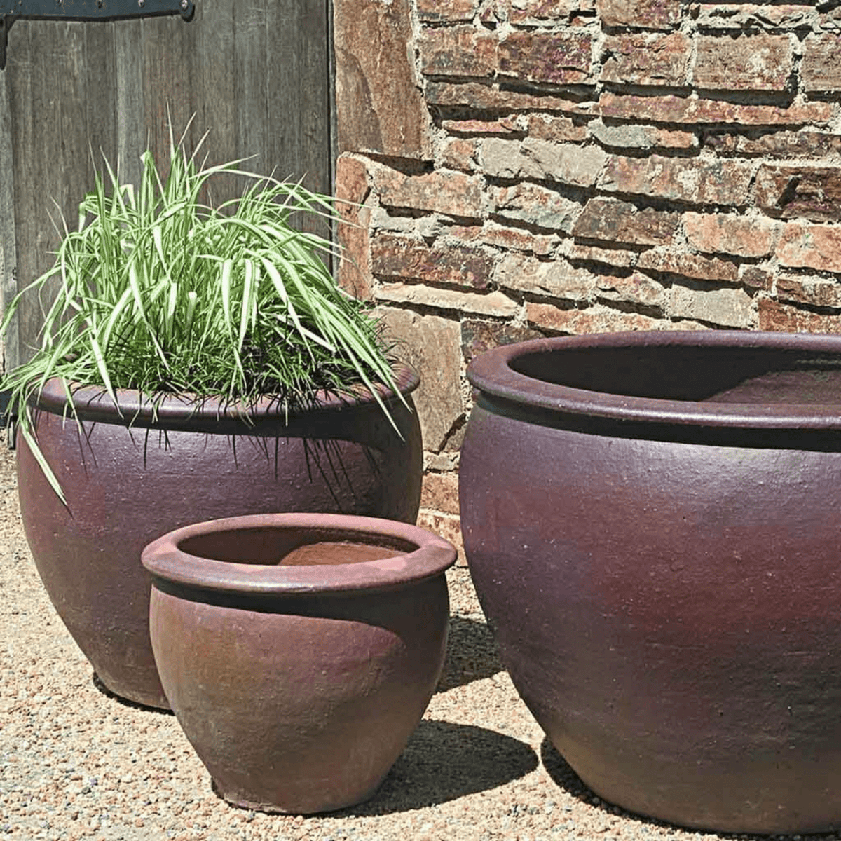 Tron Cao Pot - Cedar Nursery - Plants and Outdoor Living