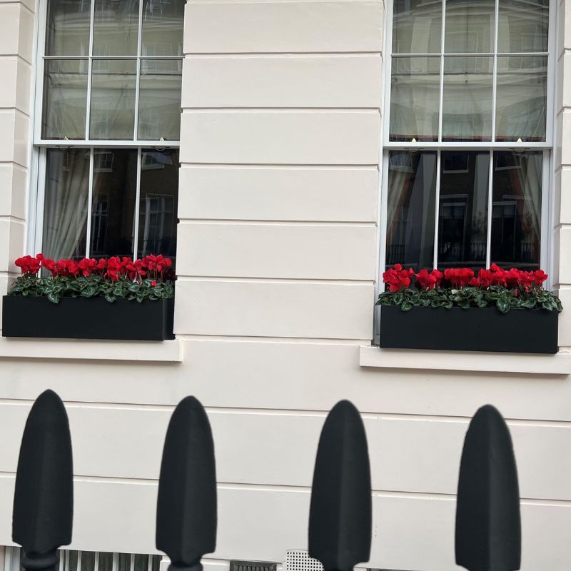Window Boxes in London