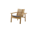 Amaze Lounge Chair/Sofa Cushion - Cedar Nursery - Plants and Outdoor Living