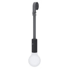 Aplo Lamp - Cedar Nursery - Plants and Outdoor Living