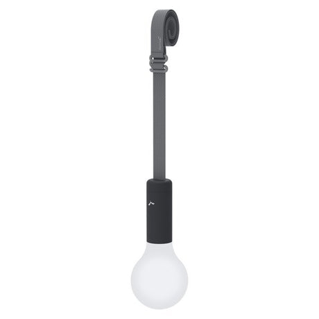 Aplo Lamp - Cedar Nursery - Plants and Outdoor Living