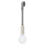 Aplo Lamp - Cedar Nursery - Plants and Outdoor Living