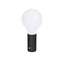 Aplo Lamp - Cedar Nursery - Plants and Outdoor Living