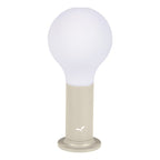 Aplo Lamp - Cedar Nursery - Plants and Outdoor Living