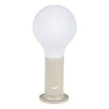 Aplo Lamp - Cedar Nursery - Plants and Outdoor Living