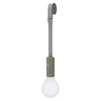 Aplo Lamp - Cedar Nursery - Plants and Outdoor Living