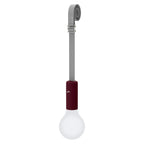 Aplo Lamp - Cedar Nursery - Plants and Outdoor Living