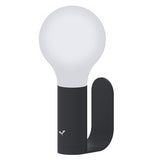 Aplo Lamp - Cedar Nursery - Plants and Outdoor Living