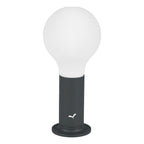 Aplo Lamp - Cedar Nursery - Plants and Outdoor Living