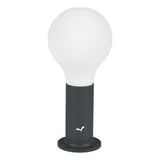 Aplo Lamp - Cedar Nursery - Plants and Outdoor Living