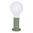 Aplo Lamp - Cedar Nursery - Plants and Outdoor Living