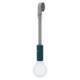 Aplo Lamp - Cedar Nursery - Plants and Outdoor Living