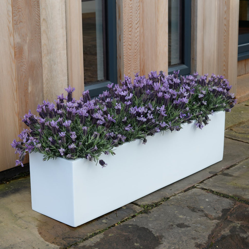 Bespoke Fibreglass Geo Planter - handmade in Surrey, UK by Cedar Nursery