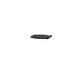 Cut Stool Cushion - Cedar Nursery - Plants and Outdoor Living