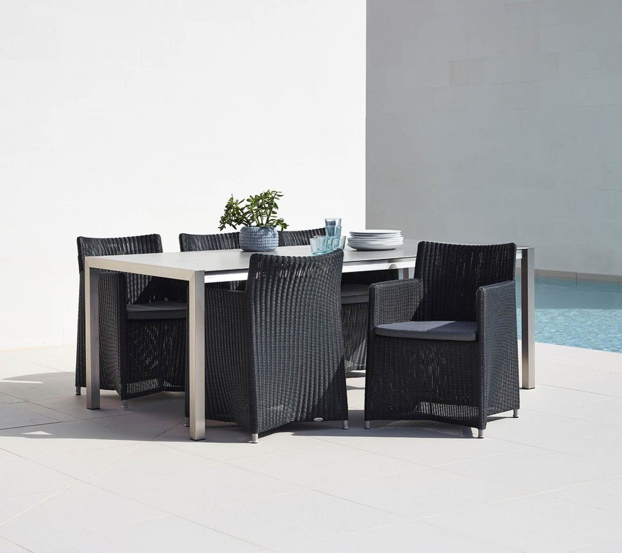 Diamond Chair - Cedar Nursery - Plants and Outdoor Living