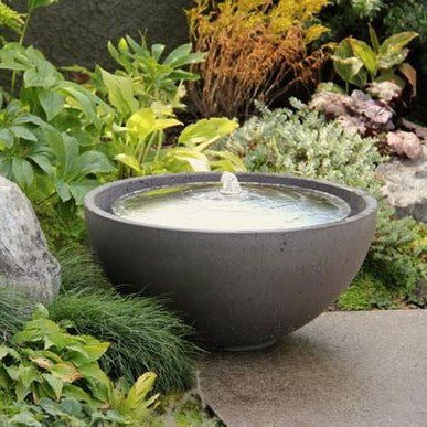 Dome Water Bowl - Cedar Nursery - Plants and Outdoor Living