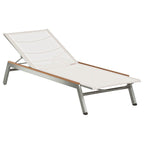 Equinox Sun Lounger - Cedar Nursery - Plants and Outdoor Living