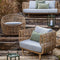 Ex-Display Nest Lounge Chair - Cedar Nursery - Plants and Outdoor Living