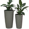 Fibreglass Cylico Chic Planter - Cedar Nursery - Plants and Outdoor Living