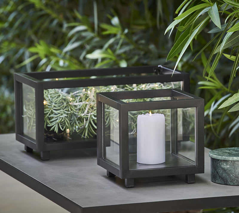 Lightbox - Cedar Nursery - Plants and Outdoor Living