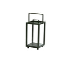 Lighthouse Lantern - Cedar Nursery - Plants and Outdoor Living