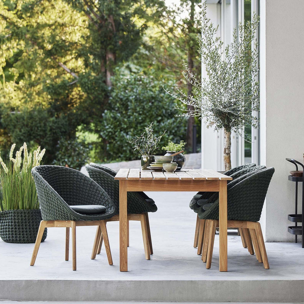 Peacock Chair - Cedar Nursery - Plants and Outdoor Living