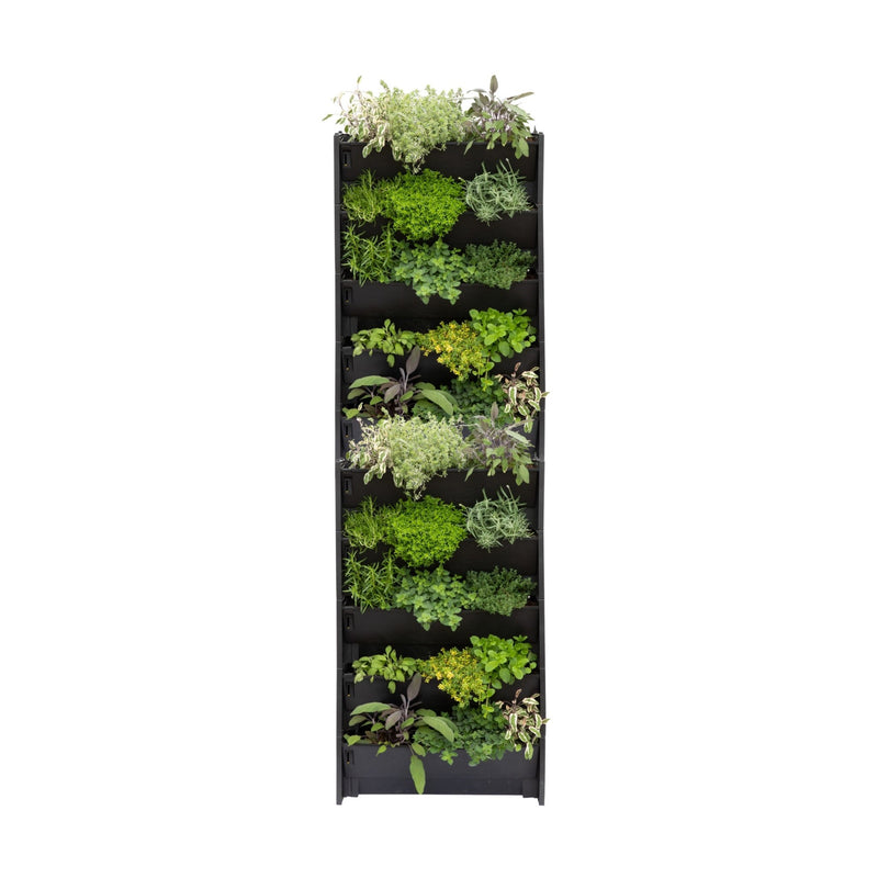PlantBox Living Wall - Cedar Nursery - Plants and Outdoor Living