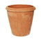 Terracini Camelia Pot Planter - Cedar Nursery - Plants and Outdoor Living