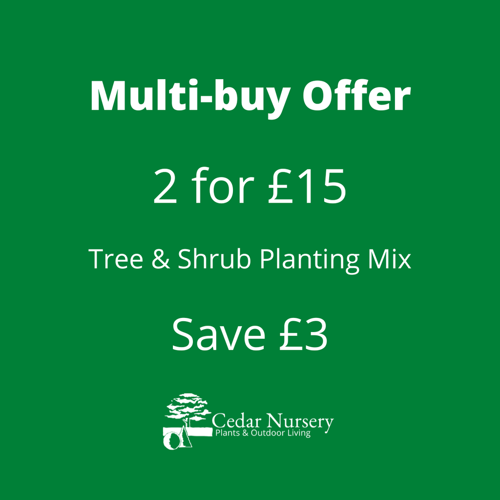 Tree and Shrub Planting and Potting Mix Compost 60 Litre Bag
