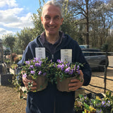Vinca minor - 2 litre - Cedar Nursery - Plants and Outdoor Living